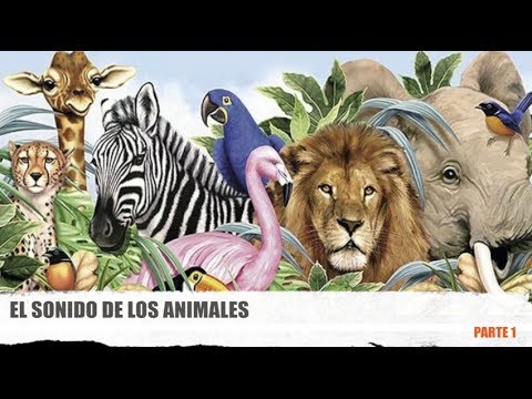 sonidos de animales para niños